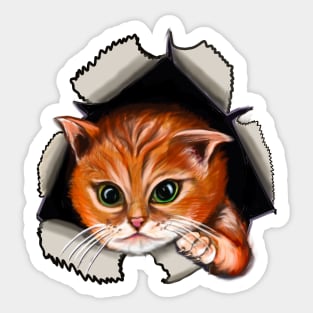 Cat peekaboo 2 - cute stowaway kitten playing peekaboo from a rip torn hole! For those who love Cute cats Sticker